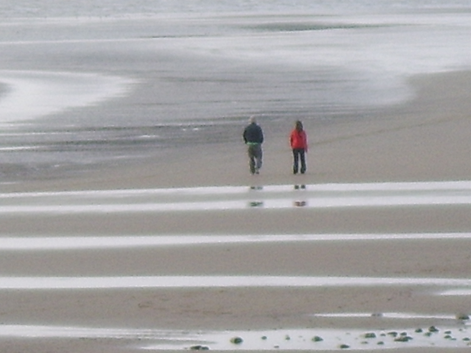 To save this picture as Windows Wallpaper - right click it - then select "Set as Background"